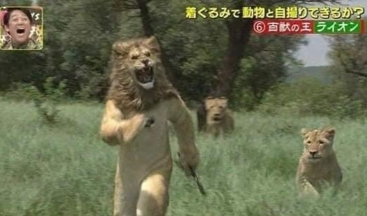 轻松一刻:急急急!男人的噩梦出现了!! 轻松一刻:急急急!男人的噩梦出现了!!