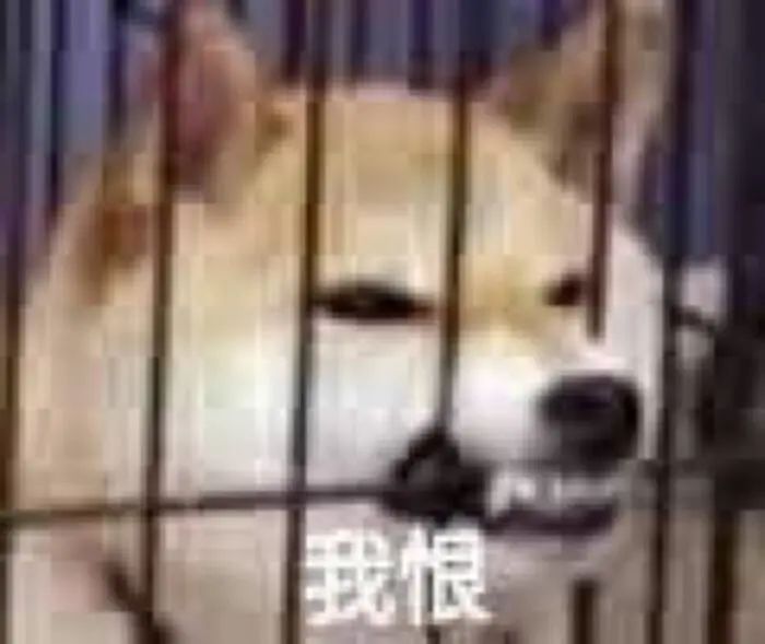 轻松一刻:要想生活过得去,身上必须带点绿 轻松一刻:要想生活过得去,身上必须带点绿