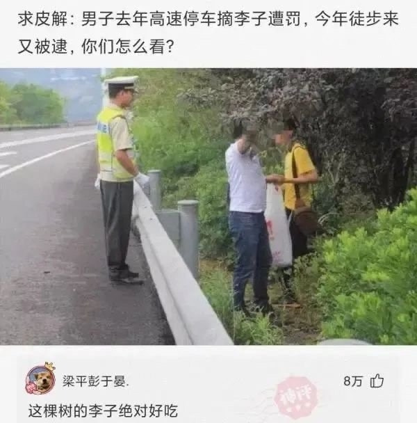 轻松一刻:要想生活过得去,身上必须带点绿 轻松一刻:要想生活过得去,身上必须带点绿