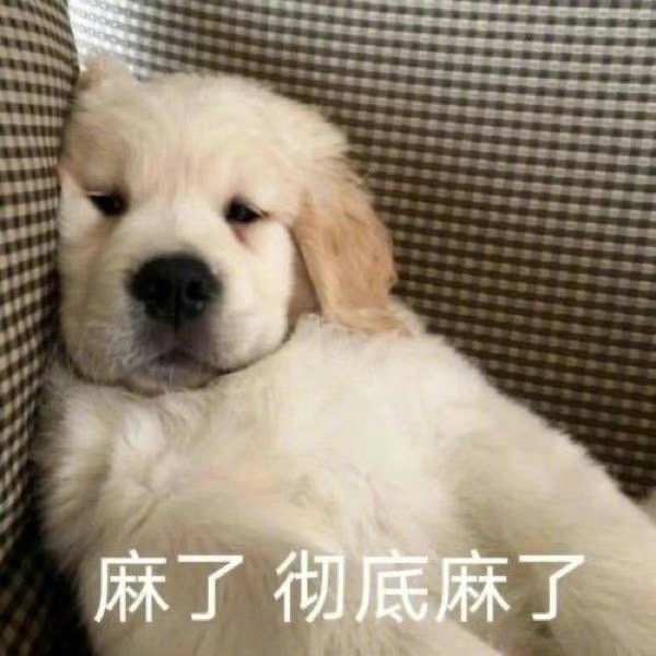 轻松一刻:要想生活过得去,身上必须带点绿 轻松一刻:要想生活过得去,身上必须带点绿