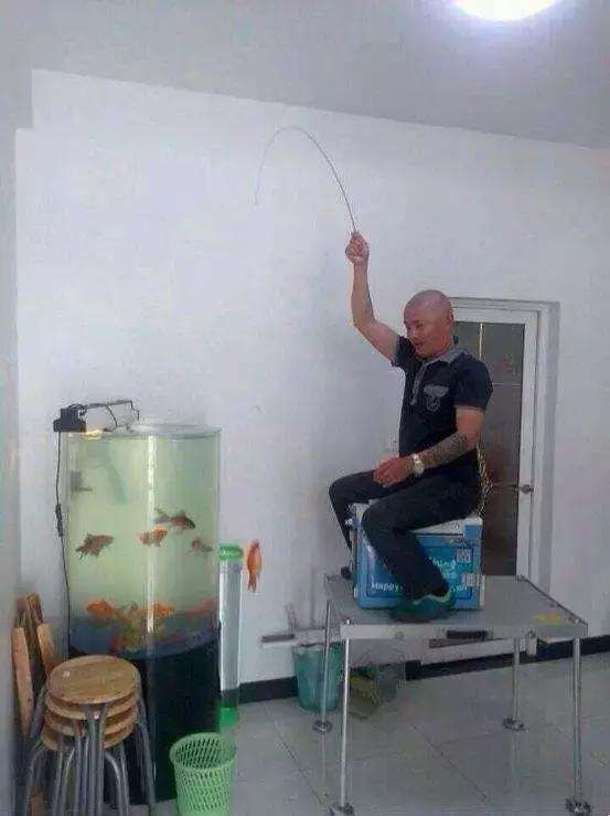 轻松一刻:要想生活过得去,身上必须带点绿 轻松一刻:要想生活过得去,身上必须带点绿