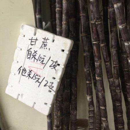 轻松一刻:要想生活过得去,身上必须带点绿 轻松一刻:要想生活过得去,身上必须带点绿