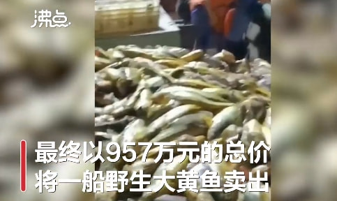 轻松一刻:要想生活过得去,身上必须带点绿 轻松一刻:要想生活过得去,身上必须带点绿