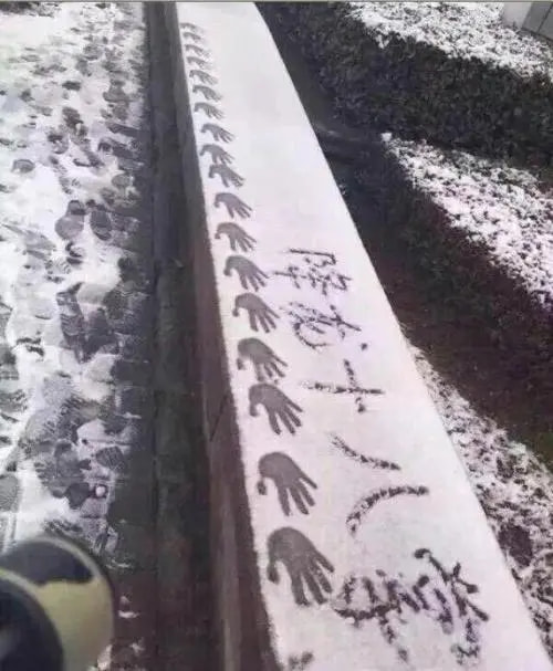 轻松一刻:要想生活过得去,身上必须带点绿 轻松一刻:要想生活过得去,身上必须带点绿