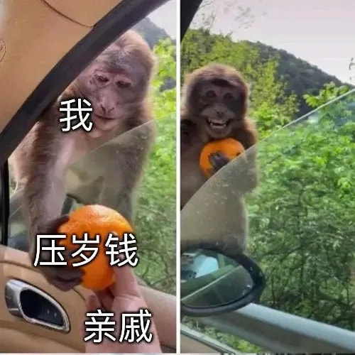 轻松一刻:要想生活过得去,身上必须带点绿 轻松一刻:要想生活过得去,身上必须带点绿