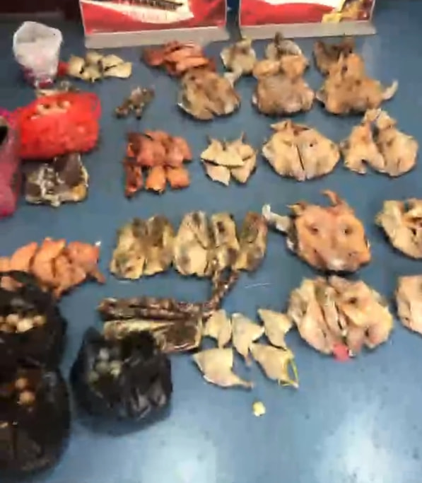 轻松一刻:要想生活过得去,身上必须带点绿 轻松一刻:要想生活过得去,身上必须带点绿