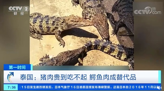 轻松一刻:要想生活过得去,身上必须带点绿 轻松一刻:要想生活过得去,身上必须带点绿