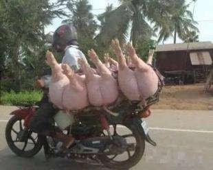 轻松一刻:要想生活过得去,身上必须带点绿 轻松一刻:要想生活过得去,身上必须带点绿