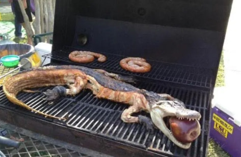 轻松一刻:要想生活过得去,身上必须带点绿 轻松一刻:要想生活过得去,身上必须带点绿