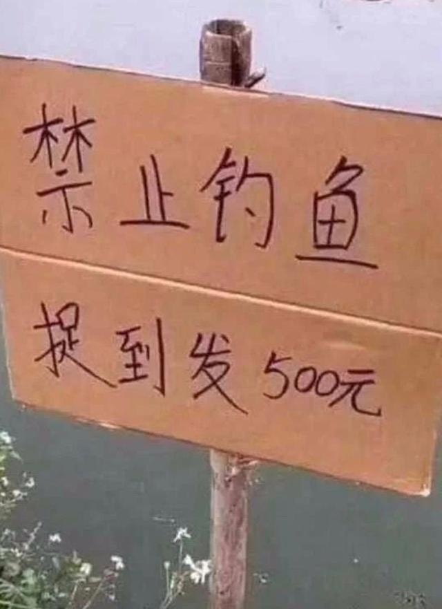 轻松一刻:要想生活过得去,身上必须带点绿 轻松一刻:要想生活过得去,身上必须带点绿