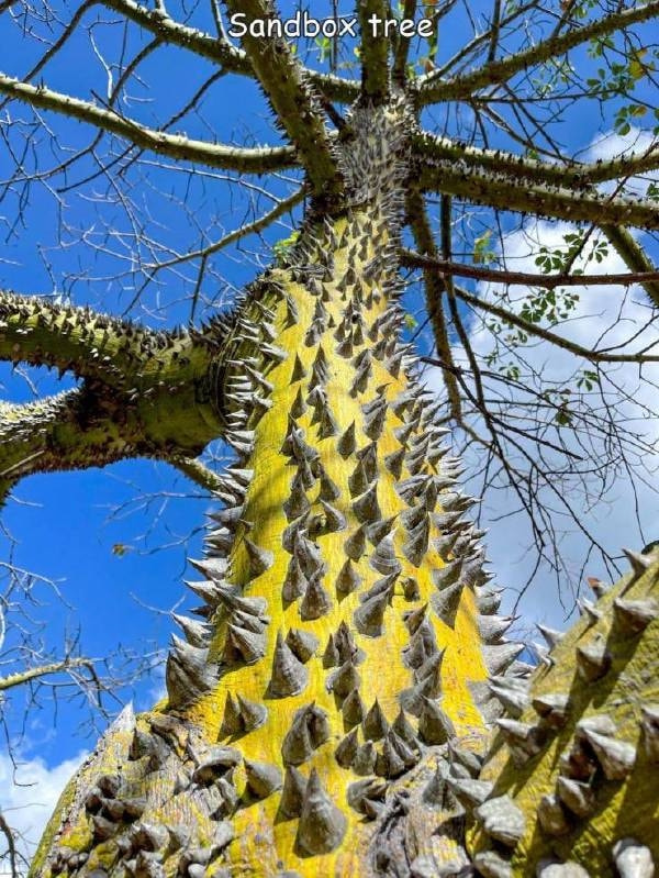 轻松一刻:要想生活过得去,身上必须带点绿 轻松一刻:要想生活过得去,身上必须带点绿