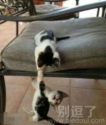 我死也不会放开你的 我死也不会放开你的