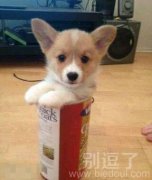 哪里买的我也来一桶 哪里买的我也来一桶