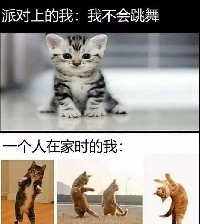 同事带我去吃快餐,没想到一顿要花800,这快餐吃的不亏啊! 同事带我去吃快餐,没想到一顿要花800,这快餐吃的不亏啊!