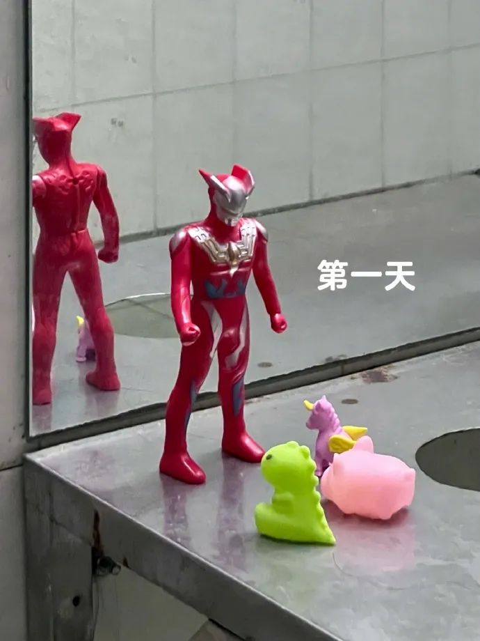 神图:如何证明青菜没打农药 神图:如何证明青菜没打农药