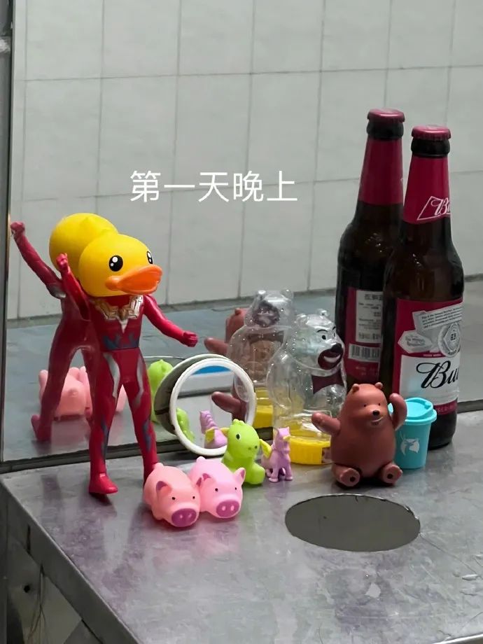 神图:如何证明青菜没打农药 神图:如何证明青菜没打农药