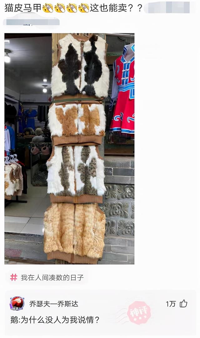 表哥当年为了娶她,哭着卖掉73枚比特币,现在睡觉都会笑醒了 表哥当年为了娶她,哭着卖掉73枚比特币,现在睡觉都会笑醒了