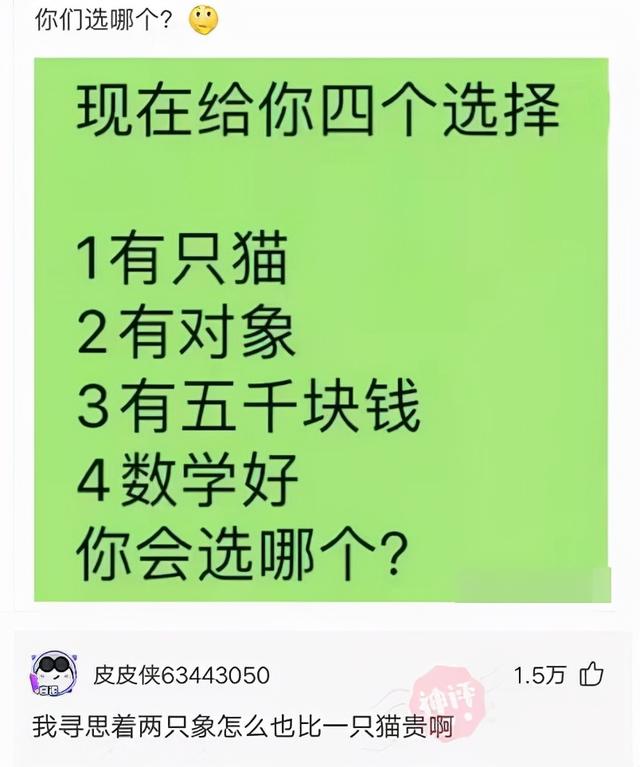 表哥当年为了娶她，哭着卖掉73枚比特币，现在睡觉都会笑醒了