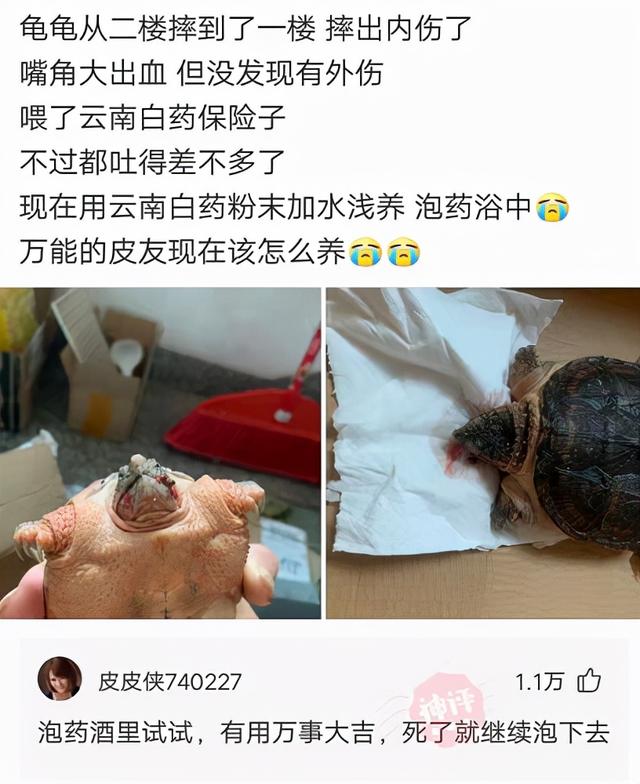 表哥当年为了娶她，哭着卖掉73枚比特币，现在睡觉都会笑醒了