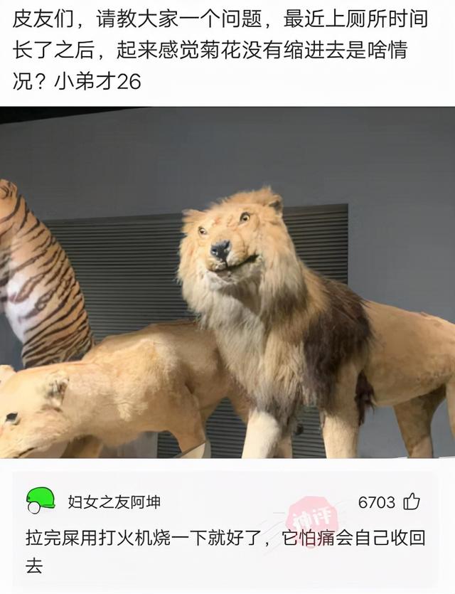表哥当年为了娶她,哭着卖掉73枚比特币,现在睡觉都会笑醒了 表哥当年为了娶她,哭着卖掉73枚比特币,现在睡觉都会笑醒了