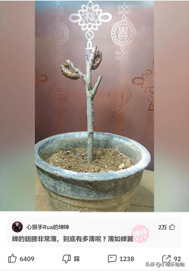 翻看老婆手机,发现一个联系频繁的号码,我打过去一顿破口大骂 翻看老婆手机,发现一个联系频繁的号码,我打过去一顿破口大骂