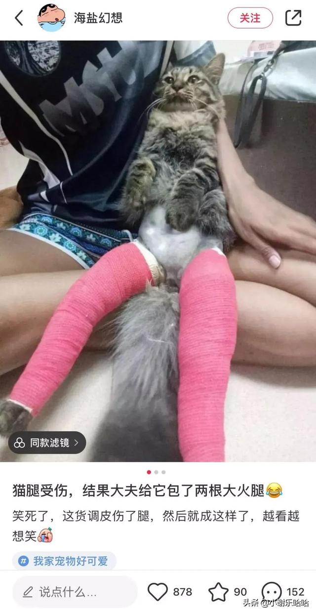 翻看老婆手机,发现一个联系频繁的号码,我打过去一顿破口大骂 翻看老婆手机,发现一个联系频繁的号码,我打过去一顿破口大骂