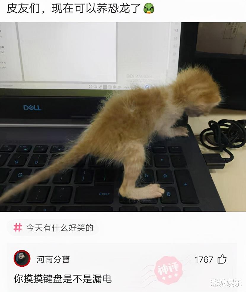 “不要穿瑜伽裤和男朋友去爬山,你猜到底为什么?”哈哈哈 “不要穿瑜伽裤和男朋友去爬山,你猜到底为什么?”哈哈哈