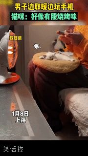七窍生烟
