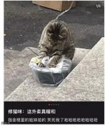 天气冷要暖jiojio