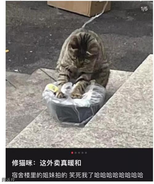 天气冷要暖jiojio