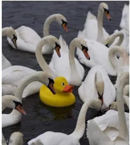 当我参与了某个重大场合... 当我参与了某个重大场合...