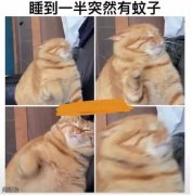 十分烦躁 十分烦躁