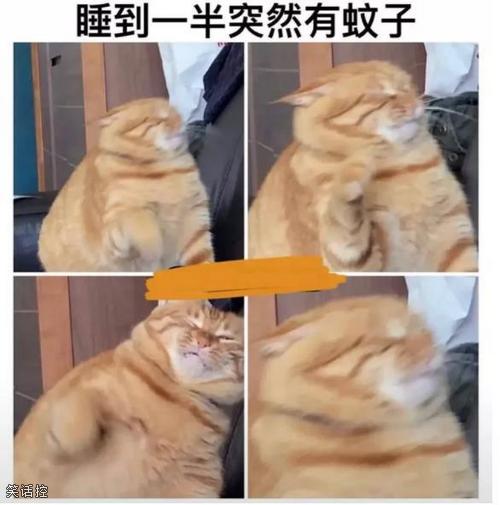 十分烦躁 十分烦躁