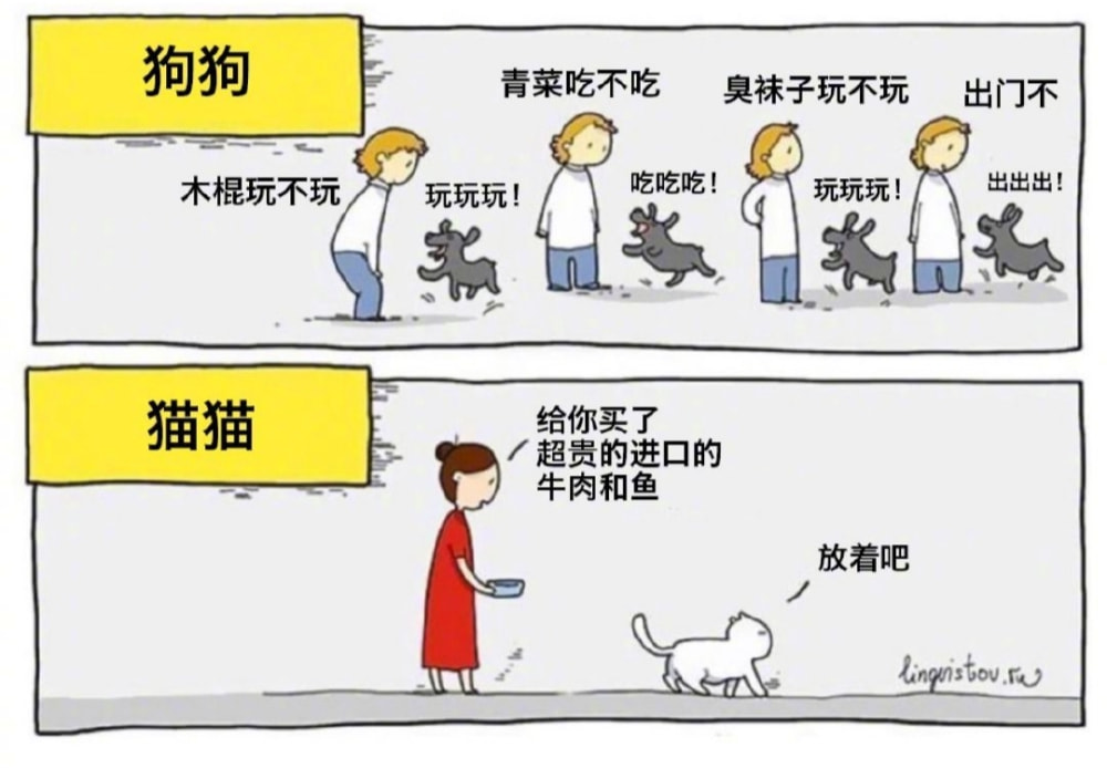 看完妹子我也爱上了自行车 看完妹子我也爱上了自行车