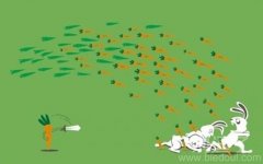 站在胡萝卜的立场想兔子