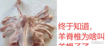 “羊脊椎为什么叫羊蝎子?今天才知道!”像不像抱脸虫? “羊脊椎为什么叫羊蝎子?今天才知道!”像不像抱脸虫?