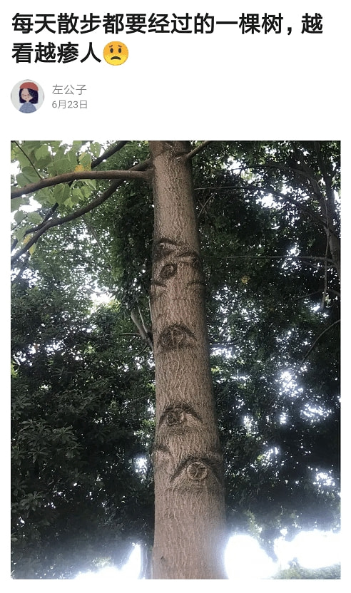 “喂,老板我好像挖到红水晶了!”结果boss连夜跑路了... “喂,老板我好像挖到红水晶了!”结果boss连夜跑路了...