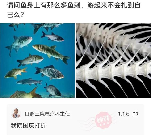 神回复:坚持跑步半年,又恢复成年轻时的童子功,网友的评论尴尬 神回复:坚持跑步半年,又恢复成年轻时的童子功,网友的评论尴尬