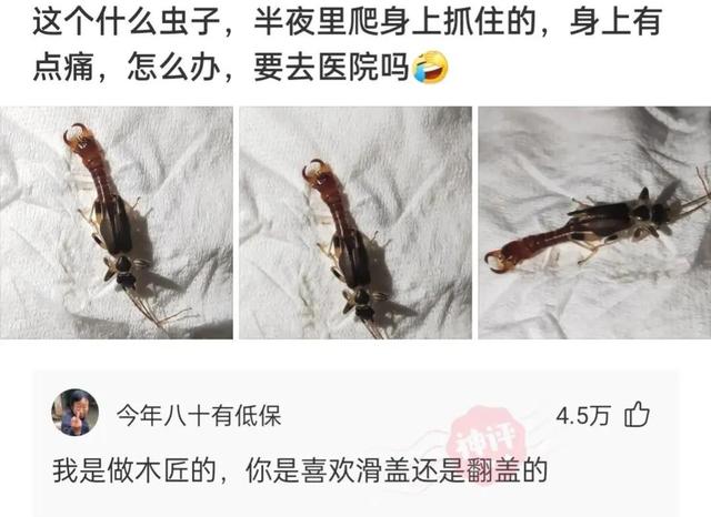 神回复:坚持跑步半年,又恢复成年轻时的童子功,网友的评论尴尬 神回复:坚持跑步半年,又恢复成年轻时的童子功,网友的评论尴尬