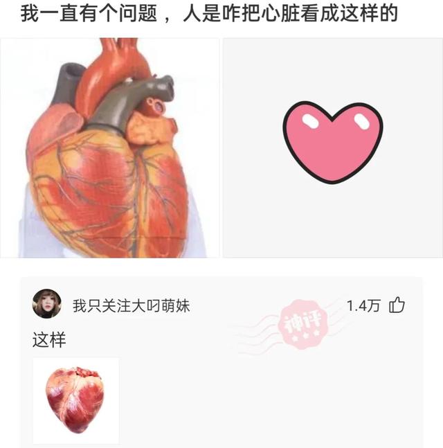 神回复:坚持跑步半年,又恢复成年轻时的童子功,网友的评论尴尬 神回复:坚持跑步半年,又恢复成年轻时的童子功,网友的评论尴尬