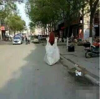 姑娘来找我吧给你一个归宿 姑娘来找我吧给你一个归宿