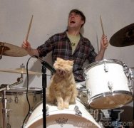 神同步的住人与猫。