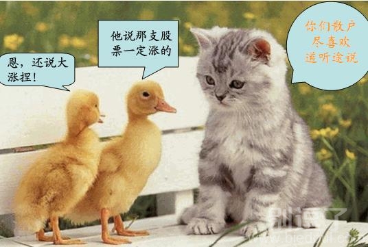 动物大会开始啦，