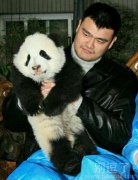 两个国宝的故事。 两个国宝的故事。