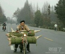 两头猪的故事 两头猪的故事