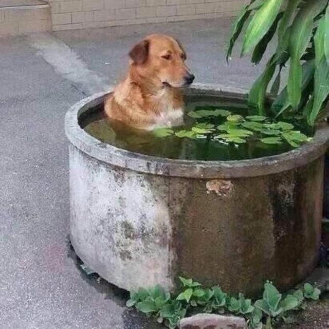 就算现在没有对象,沙雕情头也得备着呀 就算现在没有对象,沙雕情头也得备着呀