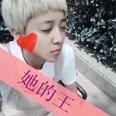 就算现在没有对象,沙雕情头也得备着呀 就算现在没有对象,沙雕情头也得备着呀