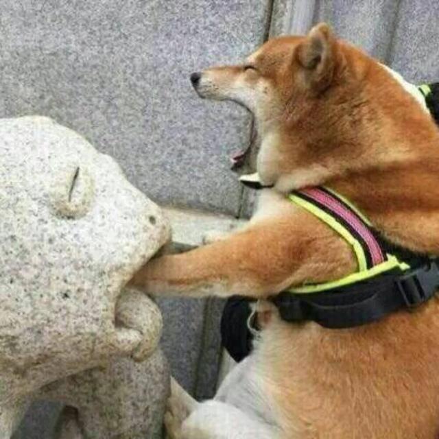 就算现在没有对象,沙雕情头也得备着呀 就算现在没有对象,沙雕情头也得备着呀