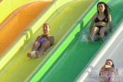 正在参加比赛的人。 正在参加比赛的人。