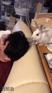 挺费头发